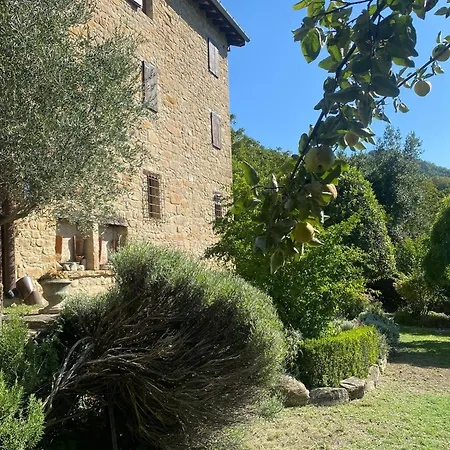 Apartment Dimora Principale Casina